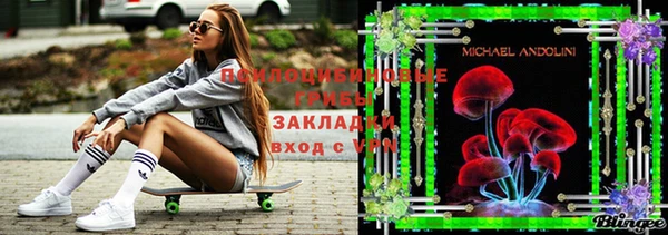 дурь Мегион