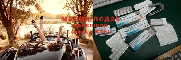 ПСИЛОЦИБИНОВЫЕ ГРИБЫ Медвежьегорск
