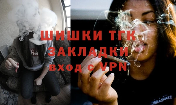 СК Медногорск