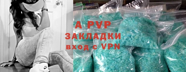 ПСИЛОЦИБИНОВЫЕ ГРИБЫ Медвежьегорск