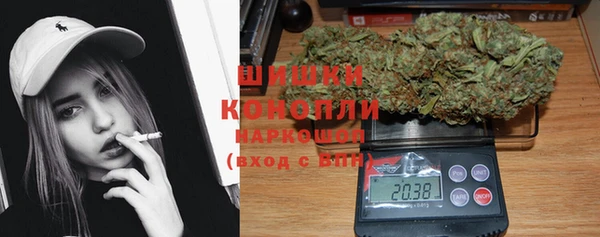 ПСИЛОЦИБИНОВЫЕ ГРИБЫ Медвежьегорск