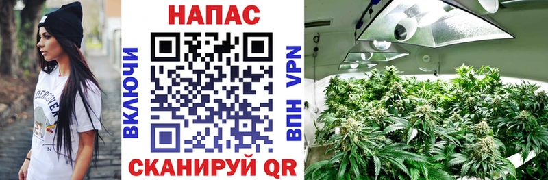 нарко площадка какой сайт  Углегорск  Каннабис VHQ 